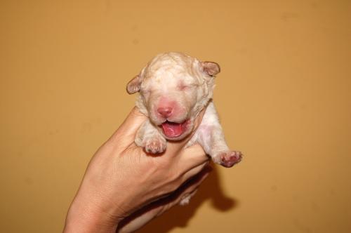 dsc_6835 dsc_6835
