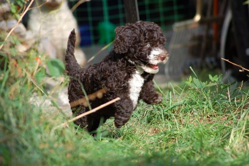 dsc_0997 dsc_0997