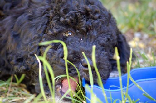 dsc_4191 dsc_4191