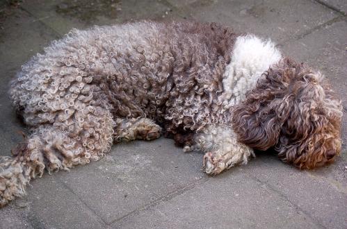 dsc_0054 dsc_0054