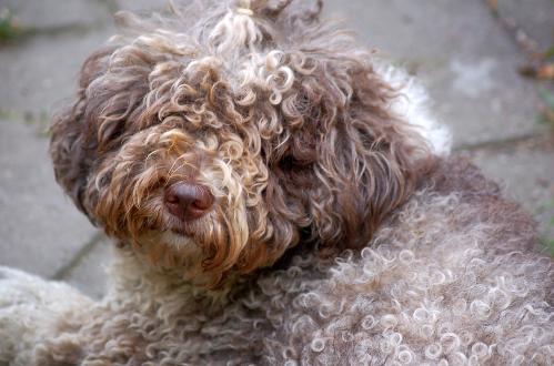 dsc_0070 dsc_0070