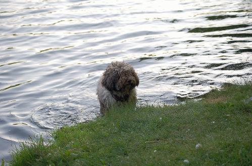 dsc_0080 dsc_0080