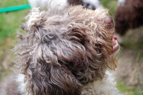 dsc_0146 dsc_0146