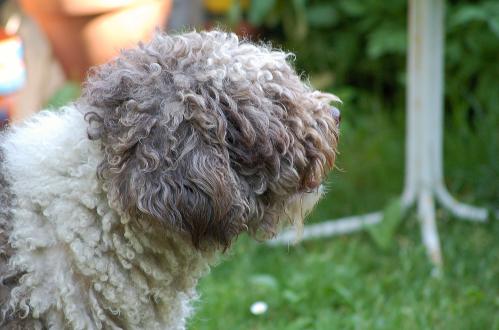 dsc_0179 dsc_0179