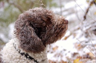 dsc_1424 dsc_1424