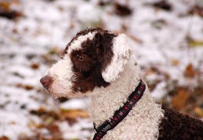 dsc_1449 dsc_1449