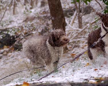 dsc_1485 dsc_1485