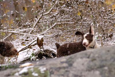 dsc_1496 dsc_1496