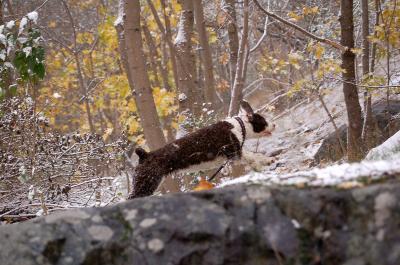 dsc_1501 dsc_1501
