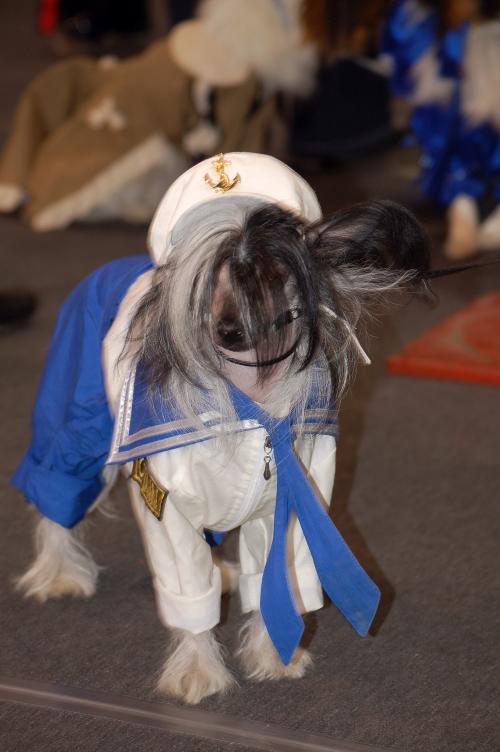 dsc_2182 dsc_2182