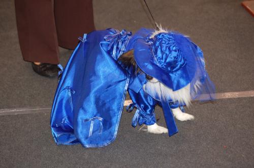 dsc_2187 dsc_2187