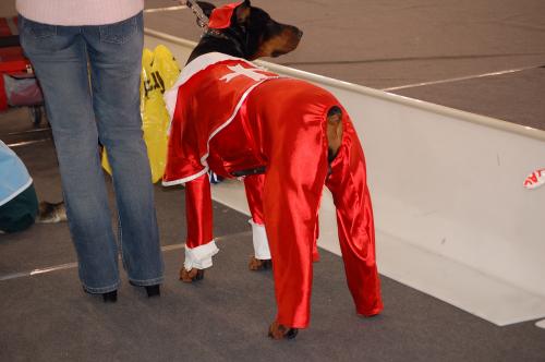 dsc_2188 dsc_2188