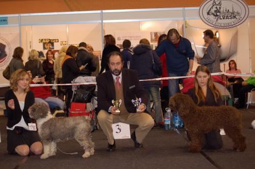 dsc_2196 dsc_2196