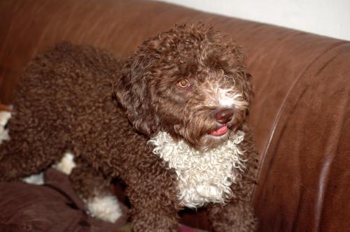dsc_3051 dsc_3051