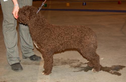dsc_3247 dsc_3247