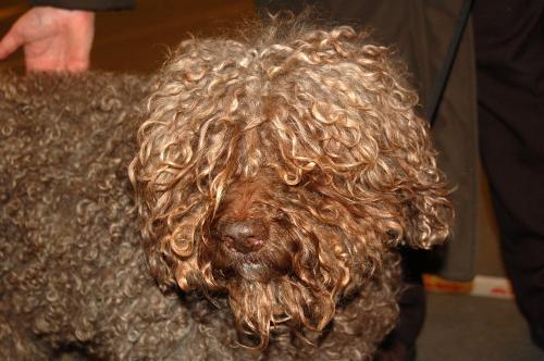 dsc_3287 dsc_3287