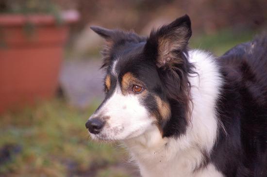 dsc_3744 dsc_3744