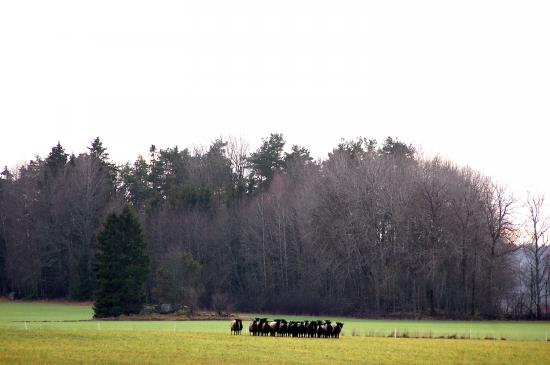 dsc_3745 dsc_3745