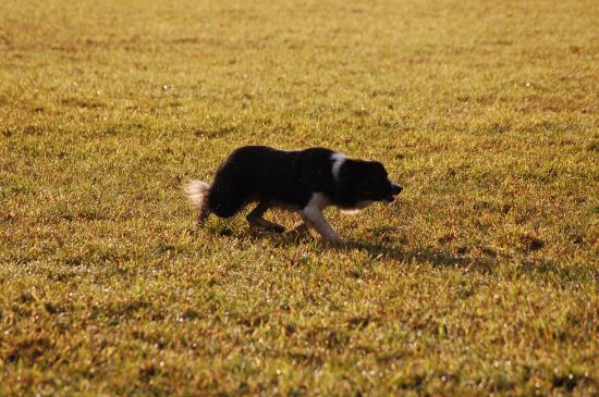 dsc_3754 dsc_3754