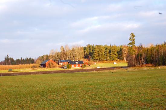 dsc_3769 dsc_3769