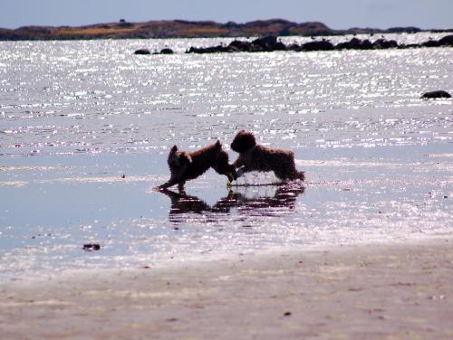 dsc_4518 dsc_4518