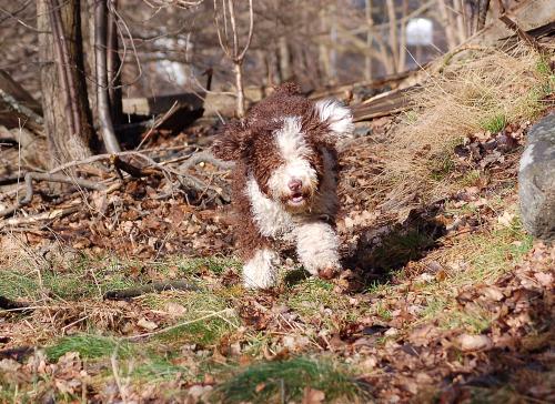 dsc_5072 dsc_5072