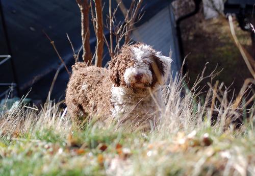 dsc_5089 dsc_5089