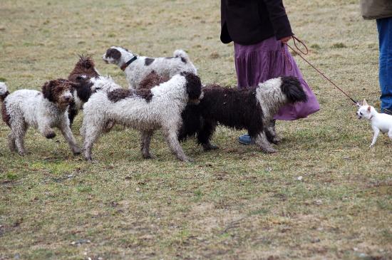 dsc_5574 dsc_5574