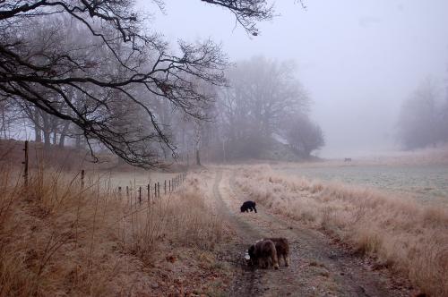 dsc_5675 dsc_5675