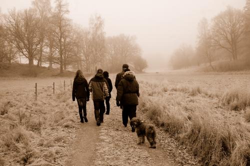 dsc_5676 dsc_5676