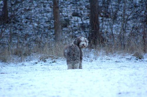 dsc_5704 dsc_5704