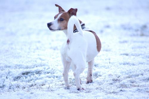 dsc_5743 dsc_5743
