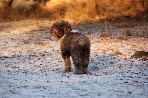 dsc_5817 dsc_5817