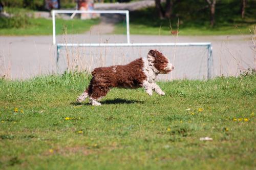 dsc_7086 dsc_7086