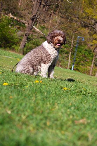 dsc_7115 dsc_7115