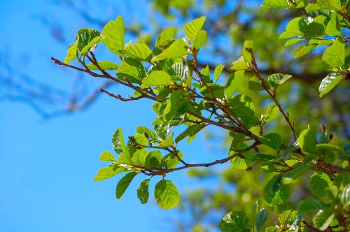 dsc_7587 dsc_7587