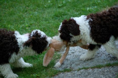 dsc_0113 dsc_0113