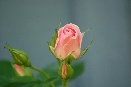 dsc_0288 dsc_0288