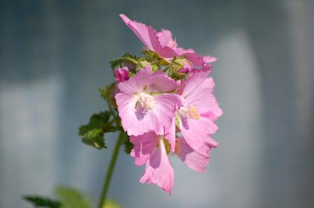 dsc_0307 dsc_0307