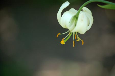 dsc_0309 dsc_0309