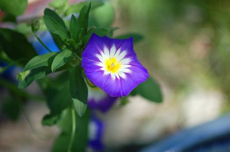 dsc_0314 dsc_0314
