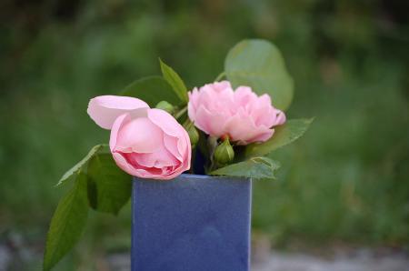 dsc_0332 dsc_0332