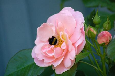 dsc_0360 dsc_0360
