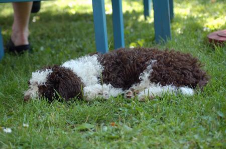 dsc_0391 dsc_0391