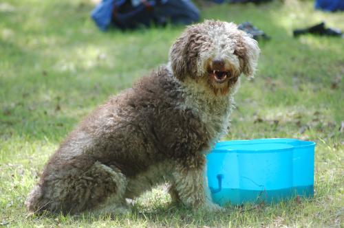 dsc_3989 dsc_3989