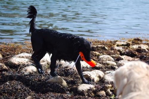 dsc_4092 dsc_4092