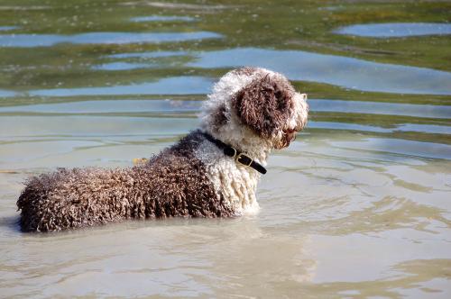 dsc_4116 dsc_4116