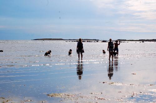 dsc_4560 dsc_4560