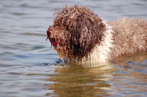 dsc_4639 dsc_4639