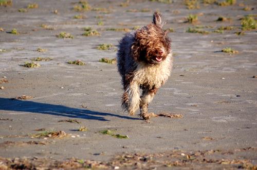 dsc_4914 dsc_4914